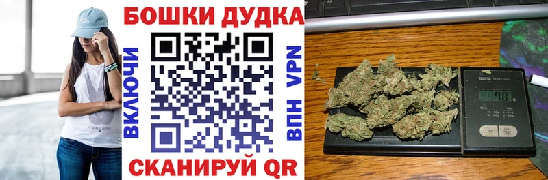 где купить   Осинники  Конопля планчик 